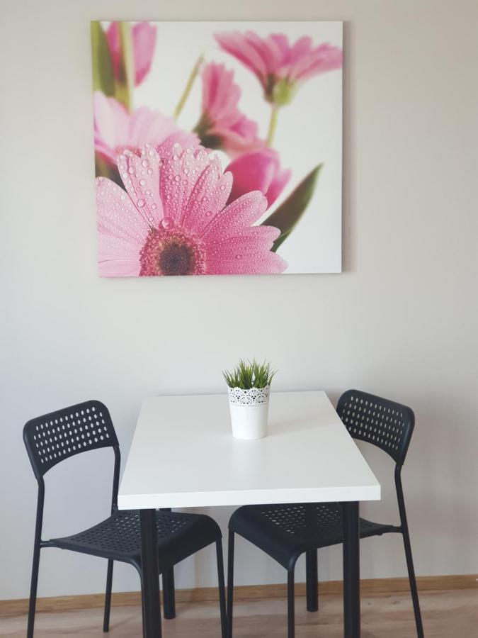 Sky Blue Loqus Studia I Apartmenty Apartment *